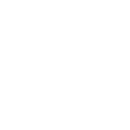 Holique