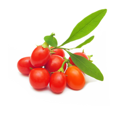 Bacche di Goji berry
