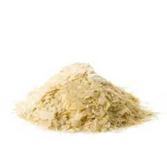 Saccharomyces